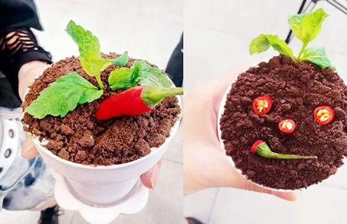 喵呜 可爱滴猫爪汤圆 一起来做吧 还有上期做盆栽甜点的现场图