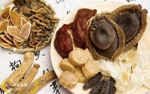 冬虫夏草 藏民眼中的神奇药材与人体功效